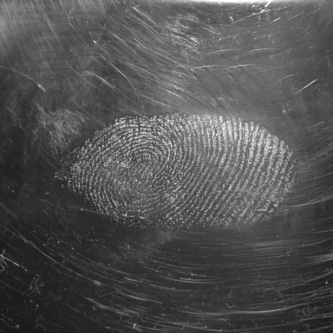 FSIS latent fingerprint
